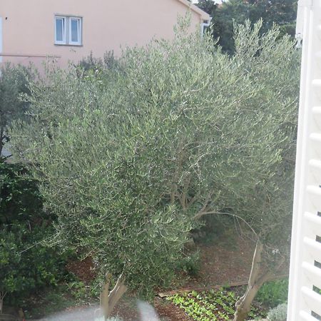 נובליה Guest House Miro חדר תמונה